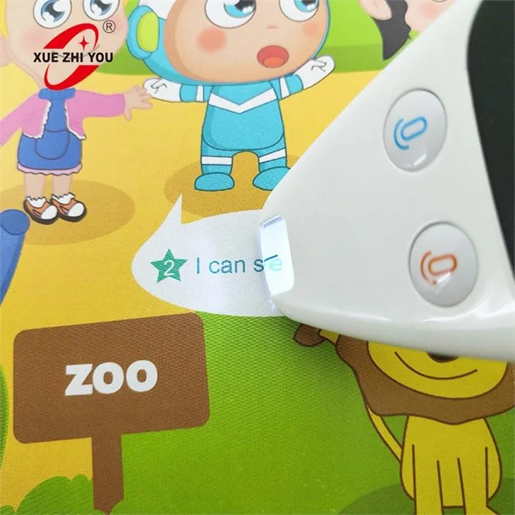 Ultra-portable Scantalker Translation Pen